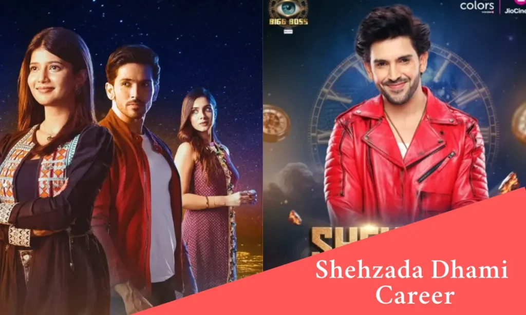 Shehzada Dhami career