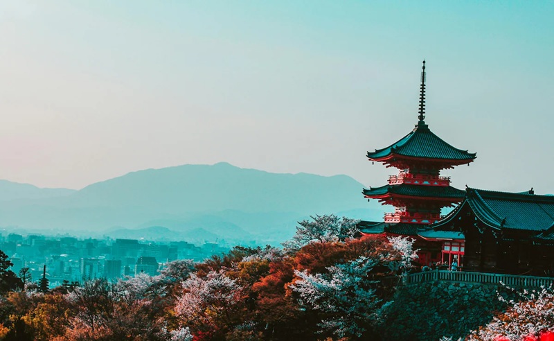 How Z-Library Helps Travelers Understand Japanese Etiquette Before Visiting Japan